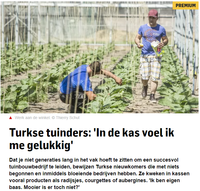 tasverenartikel