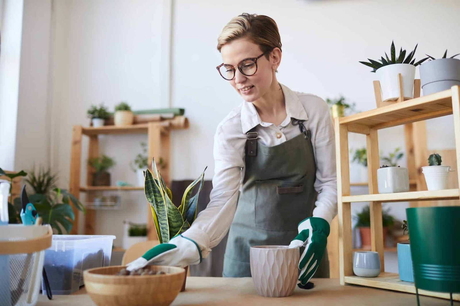 young woman potting houseplants